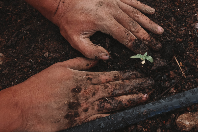 greenforce-staffing-bYZn_C-RswQ-unsplash 2