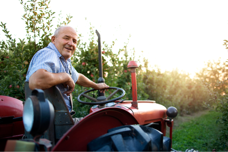 portrait-of-senior-man-farmer-driving-his-old-retro-styled-tractor-machine-through-apple-fruit-orchard-in-sunset 2